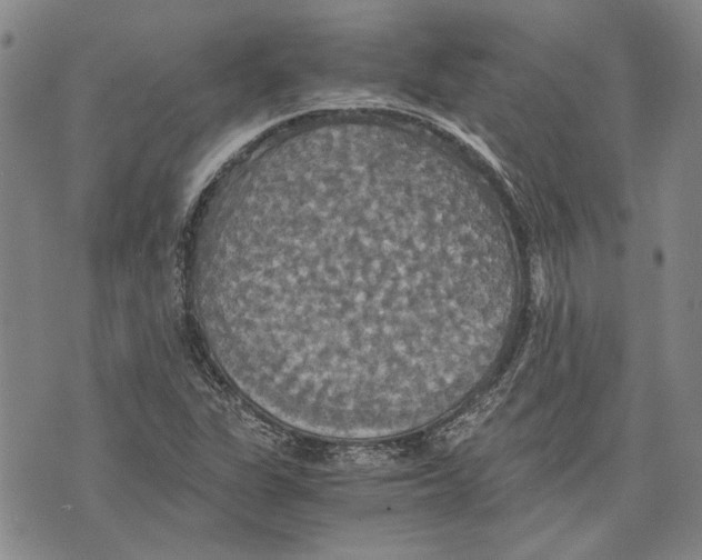 X0000075811311200610151420