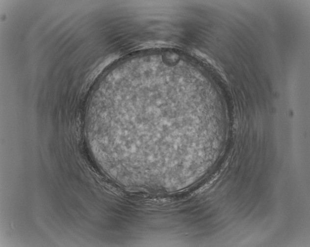 X0000075811313200610151420