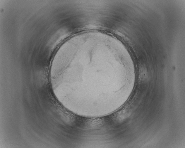 X0000075811314200610151420