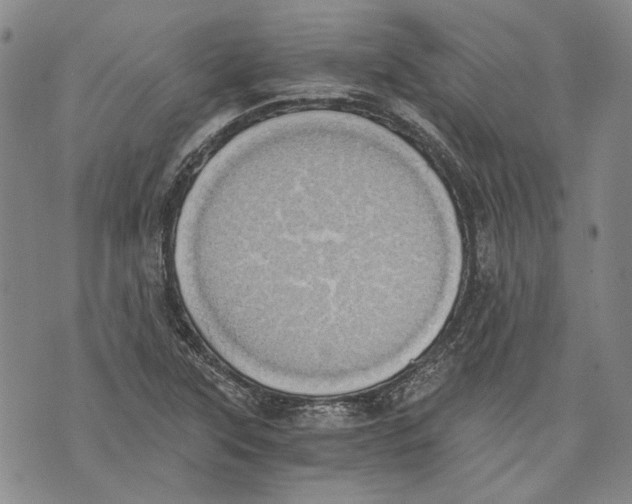 X0000075811315200610151420