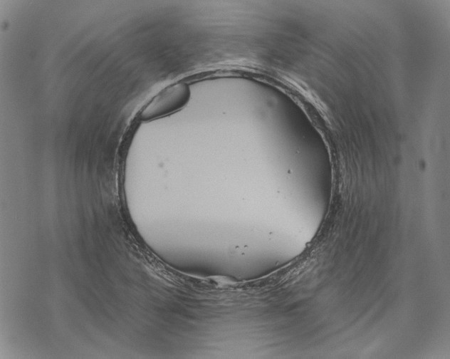 X0000075811316200610151420