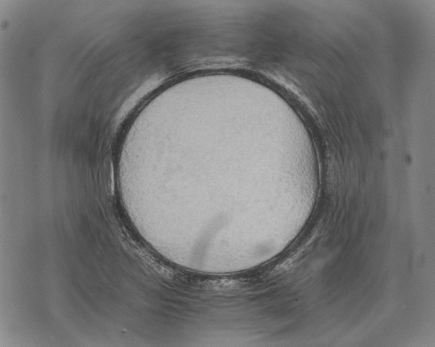 X0000075811317200610151420