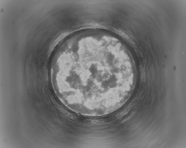 X0000075811318200610151420