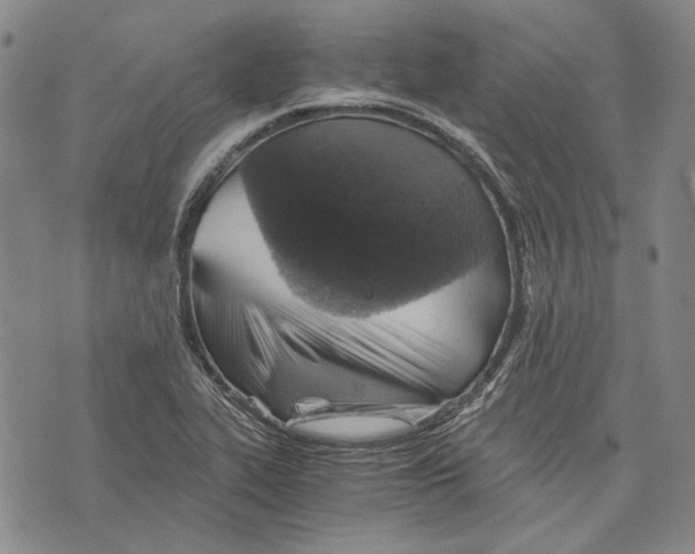 X0000075811319200610151420