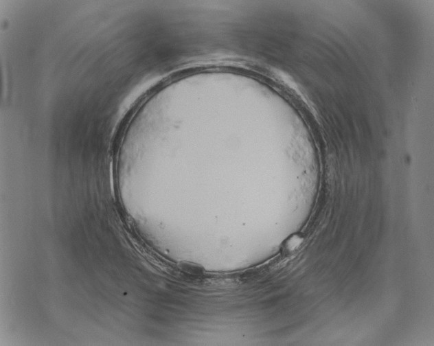 X0000075811320200610151420