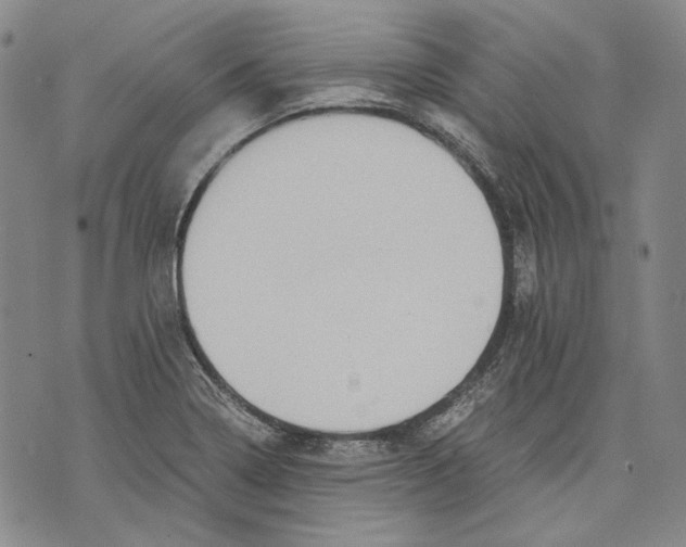 X0000075811322200610151420