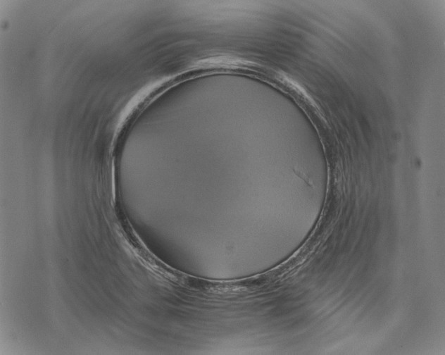 X0000075811323200610151420