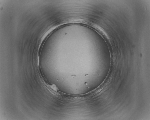 X0000075811324200610151420