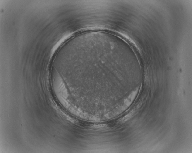 X0000075811325200610151420