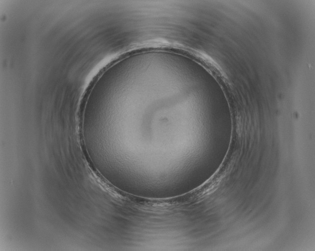 X0000075811326200610151420