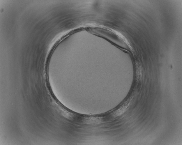 X0000075811327200610151420