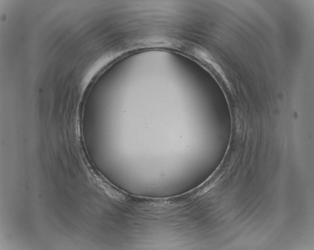 X0000075811328200610151420