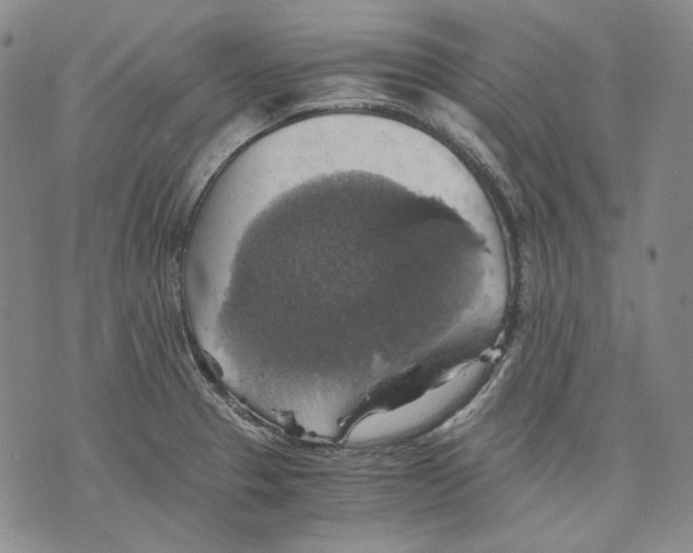 X0000075811329200610151420