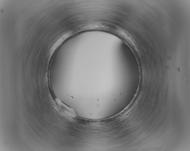 X0000075811330200610151420