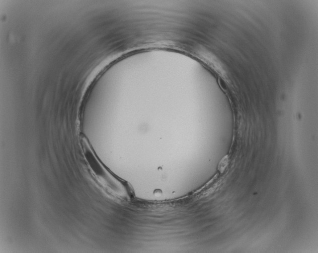 X0000075811332200610151420