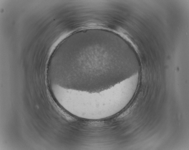 X0000075811333200610151420