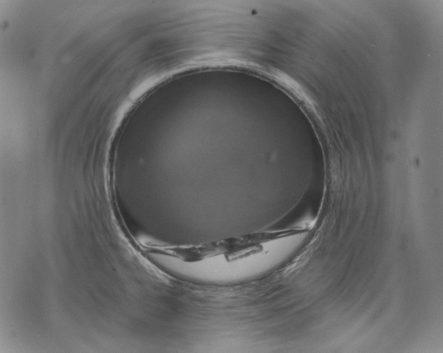 X0000075811334200610151420