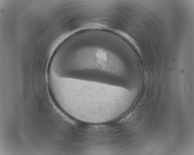 X0000075811335200610151420