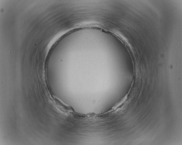 X0000075811336200610151420