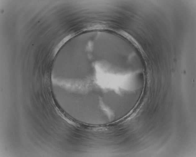 X0000075811337200610151420