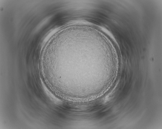 X0000075811338200610151420