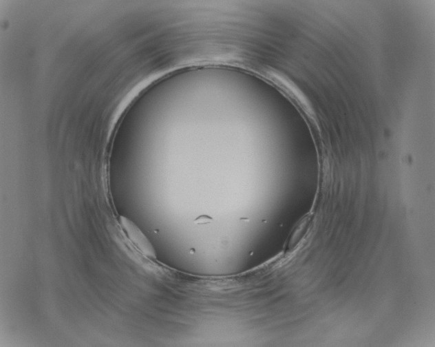 X0000075811340200610151420