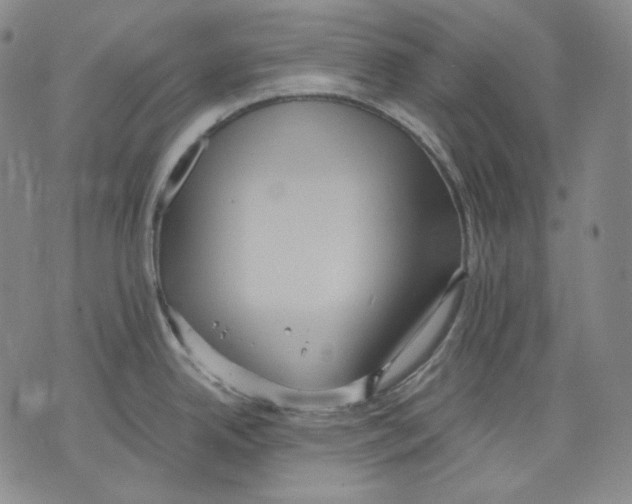 X0000075811342200610151420