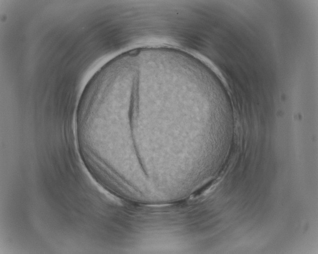 X0000075811343200610151420