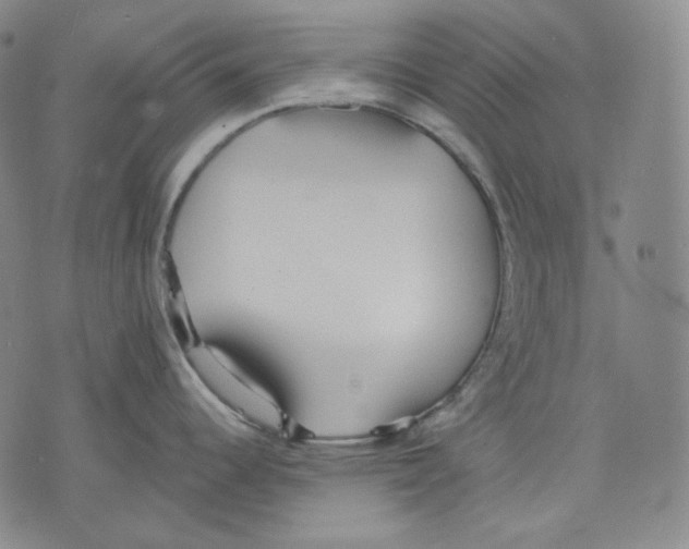 X0000075811344200610151420