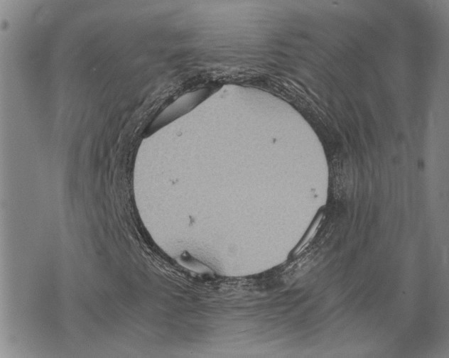 X0000075811345200610151419