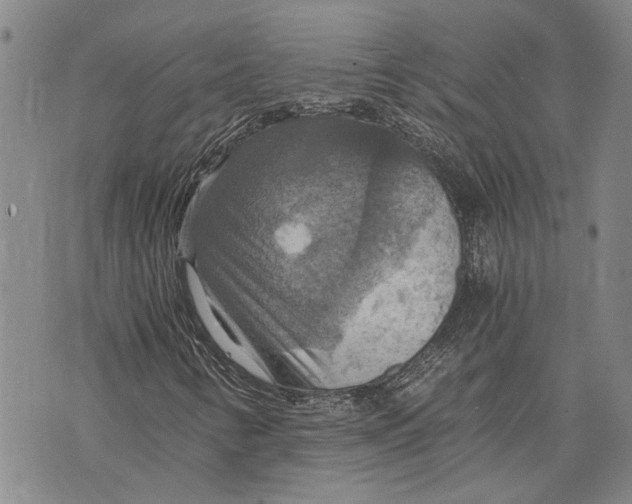 X0000075811346200610151419