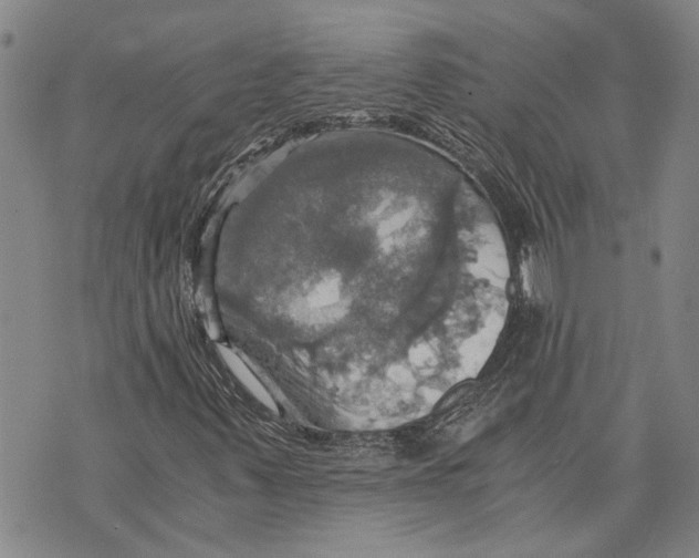 X0000075811347200610151419