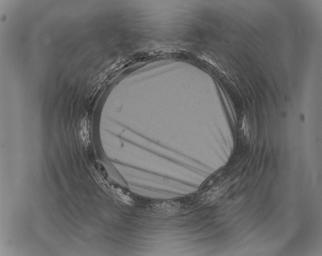 X0000075811348200610151419