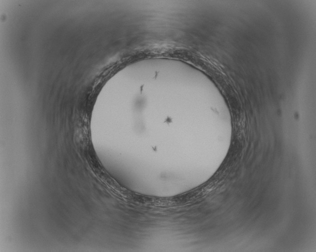 X0000075811349200610151419