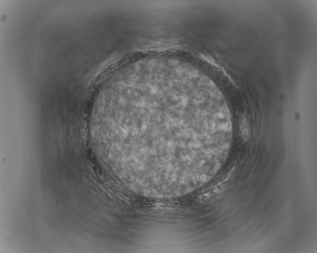 X0000075811350200610151419