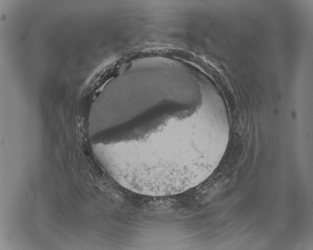 X0000075811351200610151419