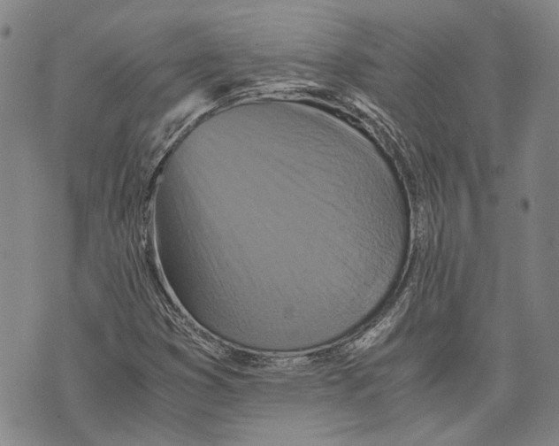 X0000075811353200610151419