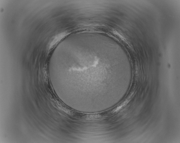 X0000075811354200610151419