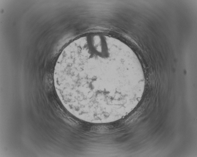 X0000075811355200610151419