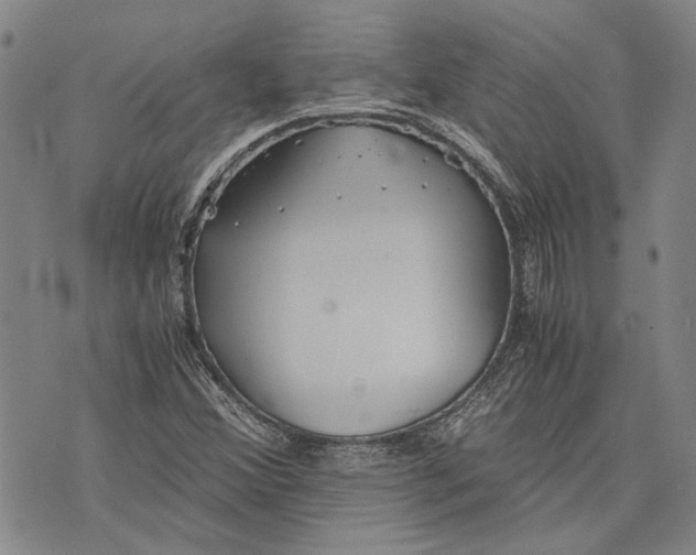 X0000075811356200610151419