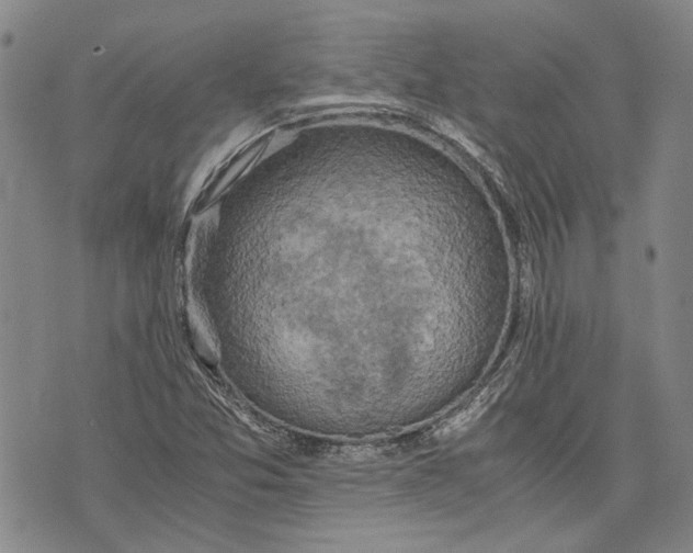 X0000075811357200610151419