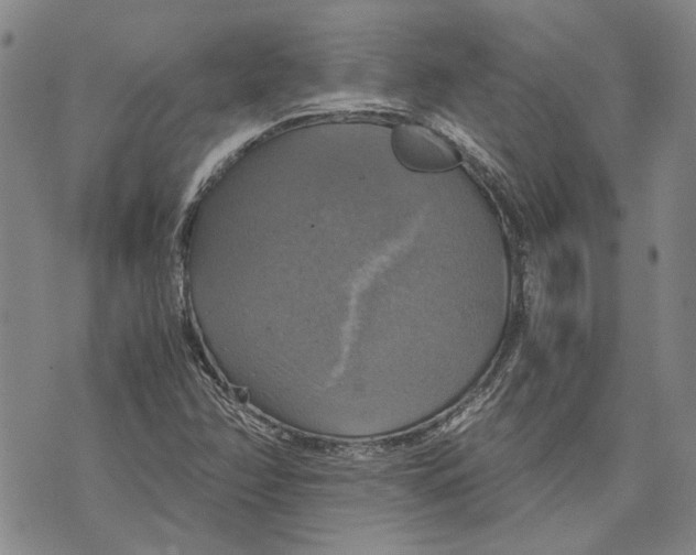 X0000075811358200610151419