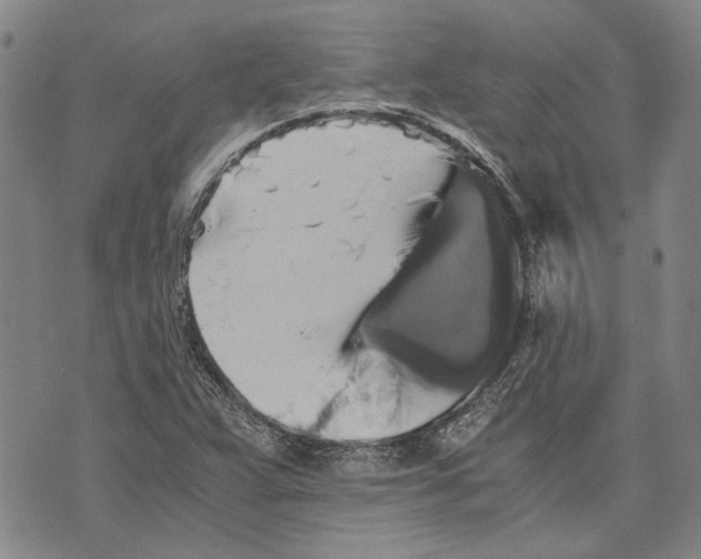 X0000075811359200610151419