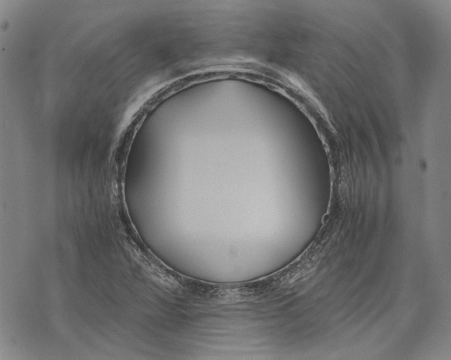 X0000075811360200610151419