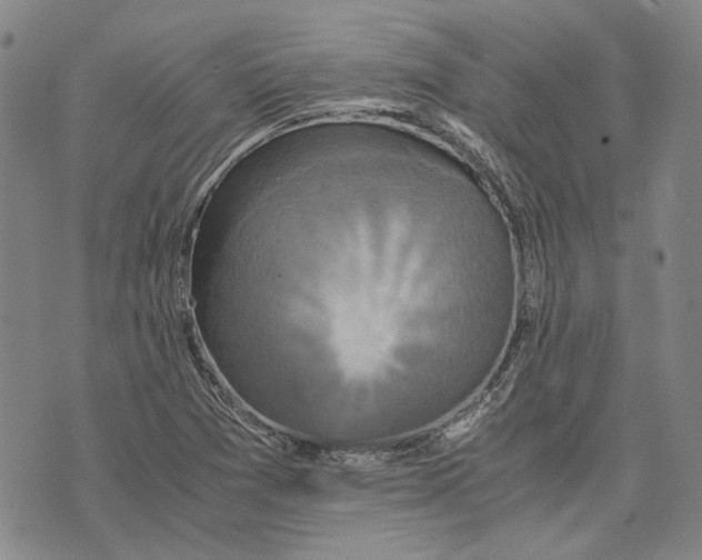 X0000075811361200610151419