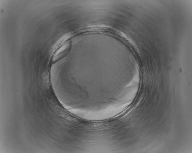 X0000075811362200610151419