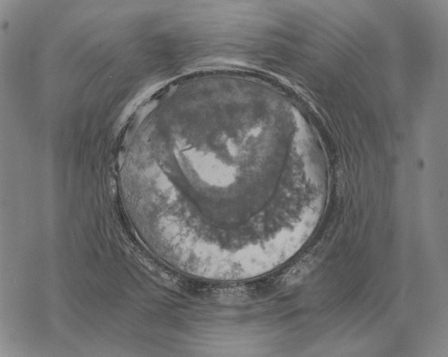 X0000075811363200610151419