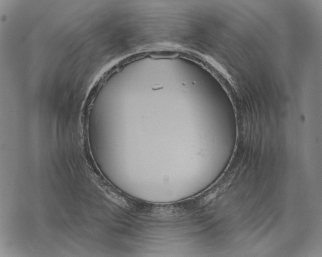 X0000075811364200610151419