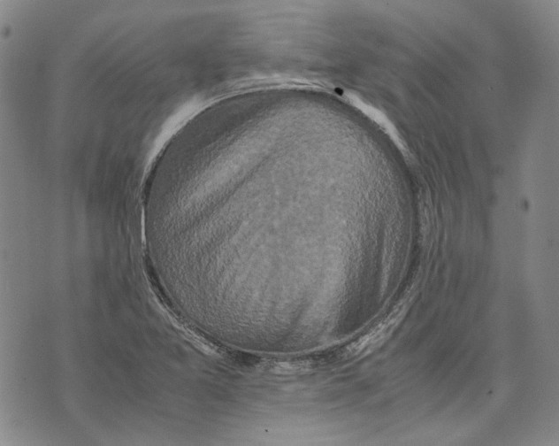 X0000075811365200610151419