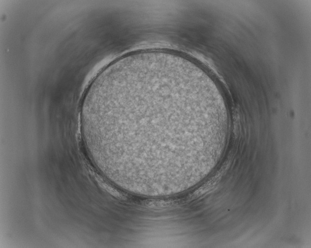 X0000075811366200610151419